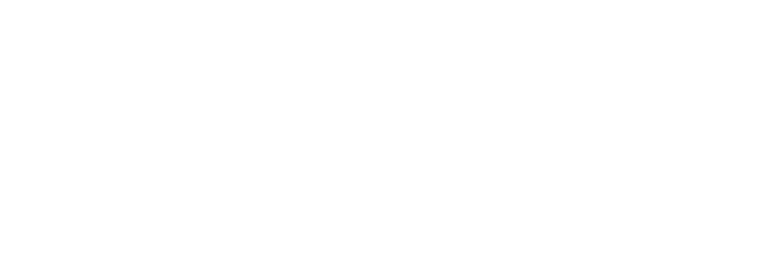 Liga Triathlonu